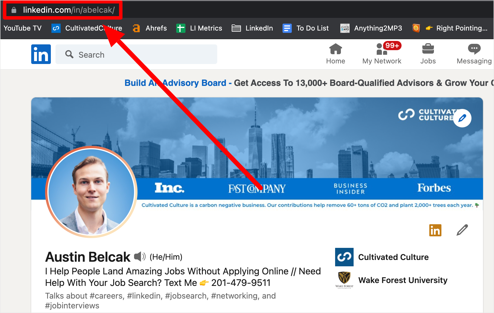 What is LinkedIn Profile Link Example?